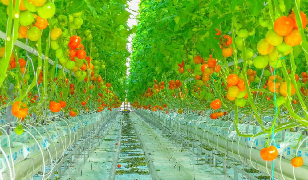 六盘水师范学院专升本植物科学与技术专业