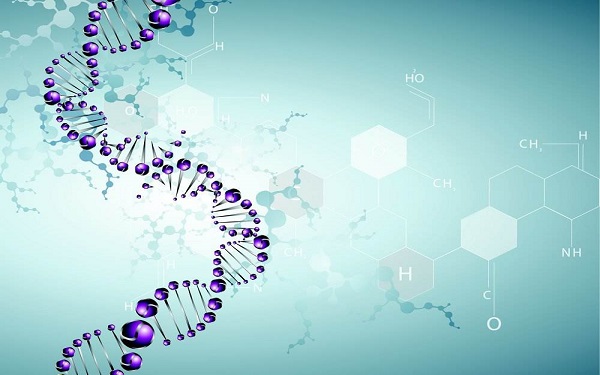 黔南民族师范学院专升本生物技术专业