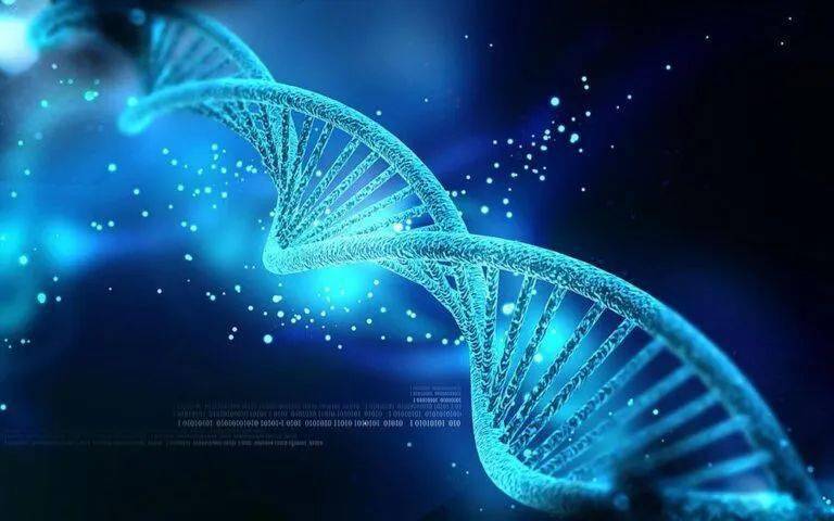 兴义民族师范学院专升本生物科学专业