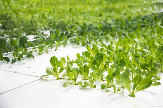 遵义师范学院专升本植物科学与技术专业